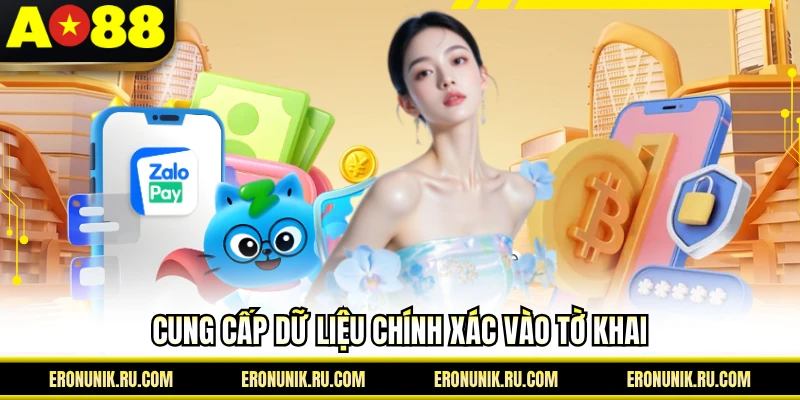 Cung cấp dữ liệu chính xác vào tờ khai